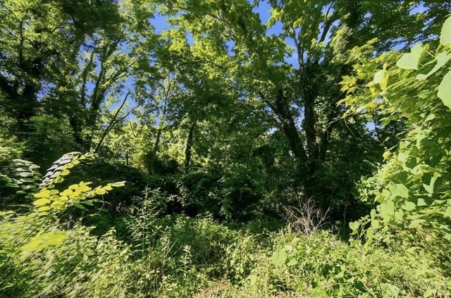 7099 Beechmont Avenue, Anderson Twp, OH 45230