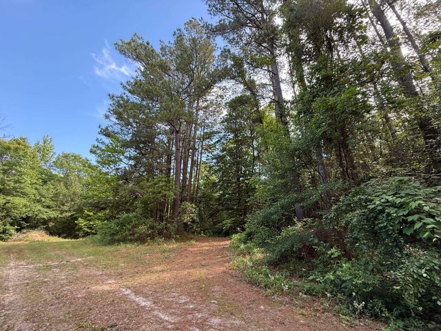 650 Widgeon Ln., Gilmer, TX 75645