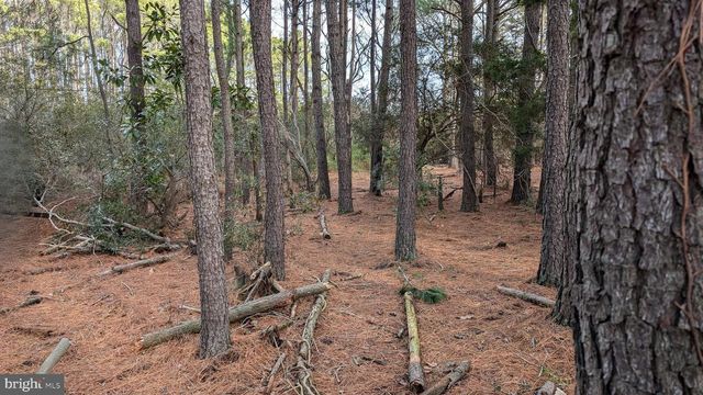 4695 GREEN RD, Marion Station, MD 21838