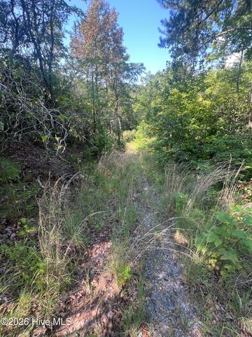 1621 Granny Squirrel Drive, Andrews, NC 28901