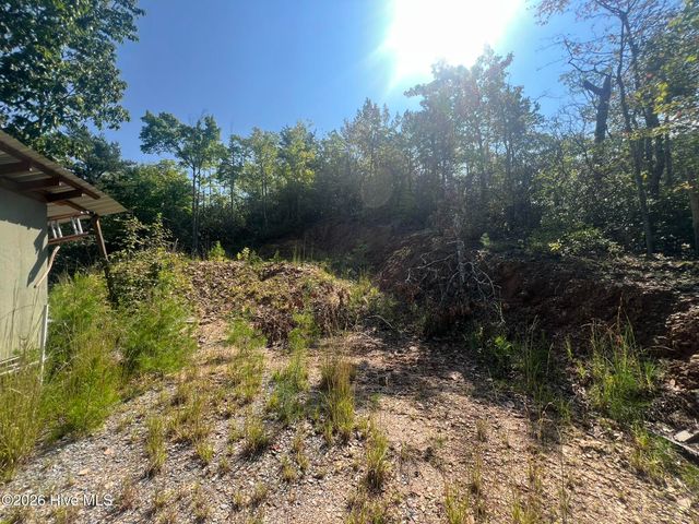 1621 Granny Squirrel Drive, Andrews, NC 28901