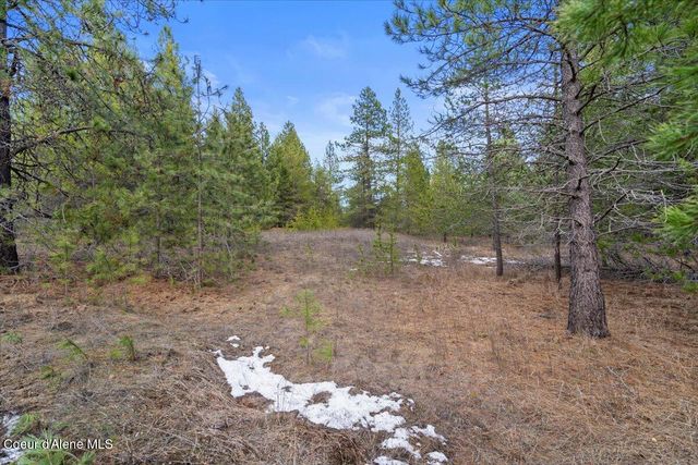 33482 N Charlotte DR, Spirit Lake, ID 83869