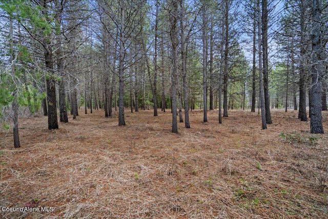 33482 N Charlotte DR, Spirit Lake, ID 83869