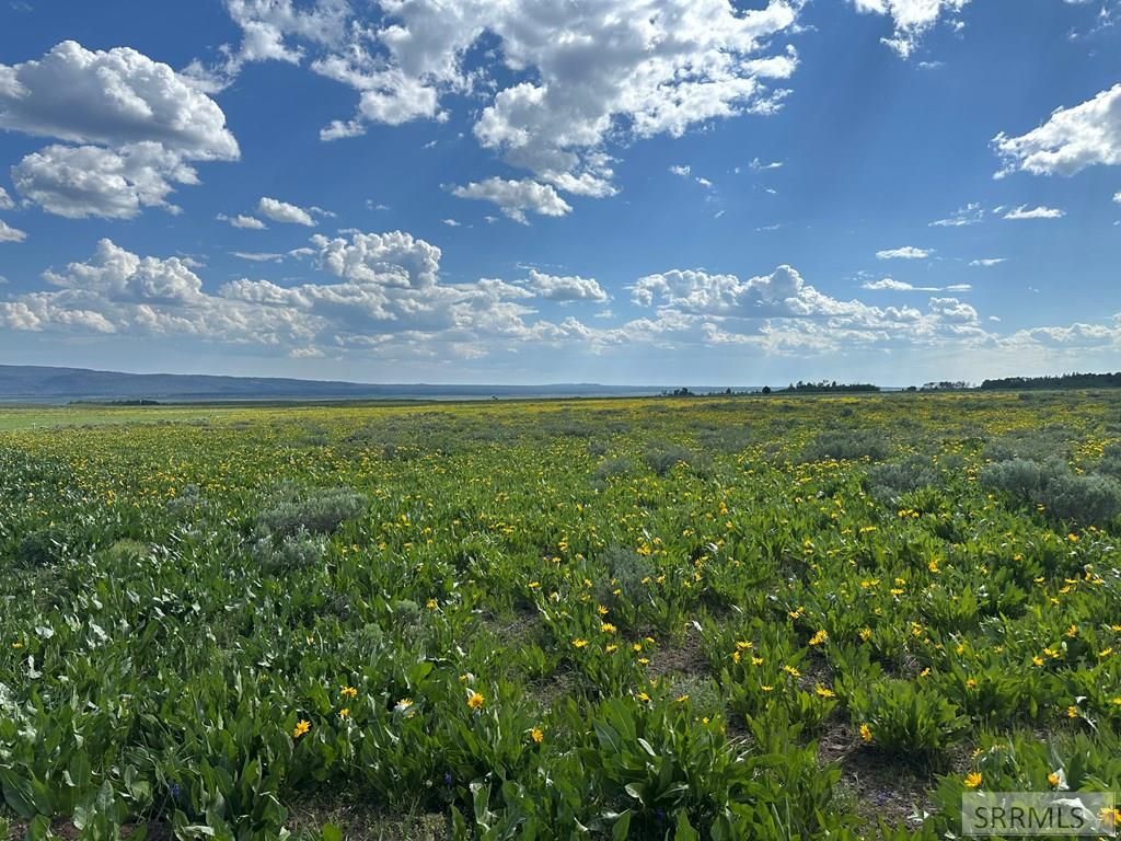 Image 2 of property listing at 4023 Brooks Blaze Lane, Island Park, ID 83429