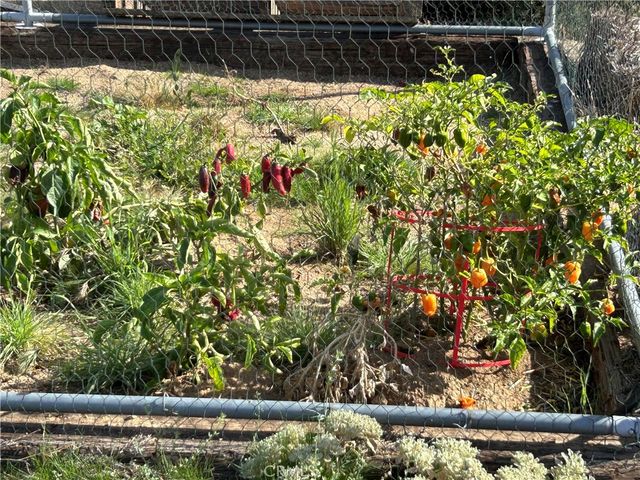 47258 Lower Ranch Road, Aguanga, CA 92536