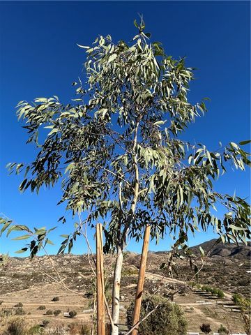 47258 Lower Ranch Road, Aguanga, CA 92536