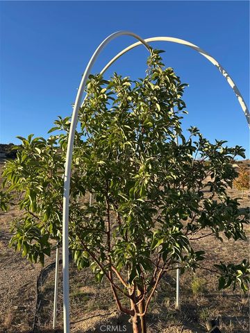 47258 Lower Ranch Road, Aguanga, CA 92536