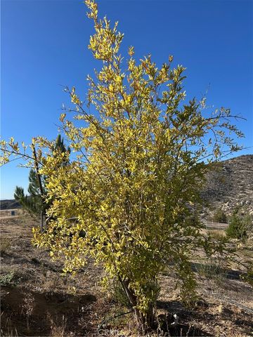 47258 Lower Ranch Road, Aguanga, CA 92536