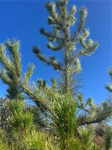 47258 Lower Ranch Road, Aguanga, CA 92536