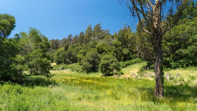 3554 Paul Sweet Road, Santa Cruz, CA 95065
