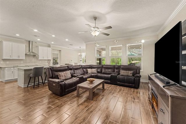 21590 VIOLET PERIWINKLE DRIVE, Land O Lakes, FL 34637