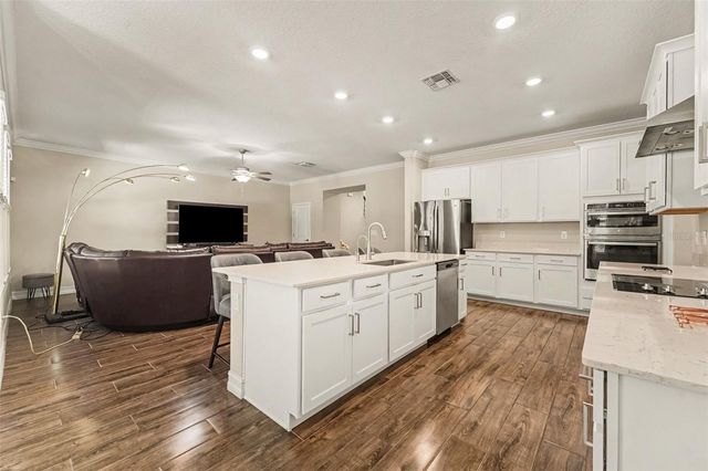 21590 VIOLET PERIWINKLE DRIVE, Land O Lakes, FL 34637