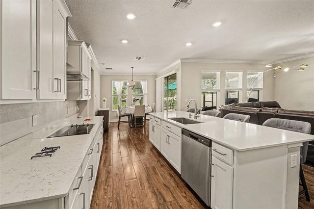 21590 VIOLET PERIWINKLE DRIVE, Land O Lakes, FL 34637