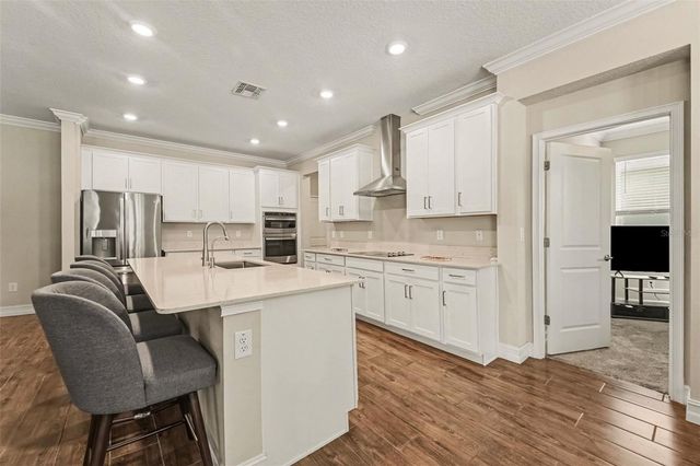 21590 VIOLET PERIWINKLE DRIVE, Land O Lakes, FL 34637