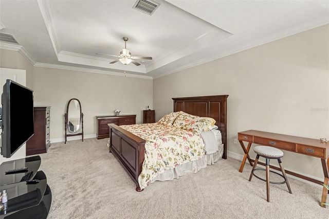 21590 VIOLET PERIWINKLE DRIVE, Land O Lakes, FL 34637