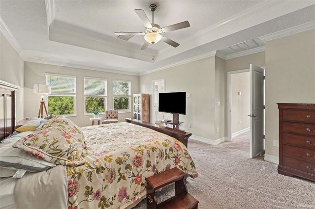 21590 VIOLET PERIWINKLE DRIVE, Land O Lakes, FL 34637