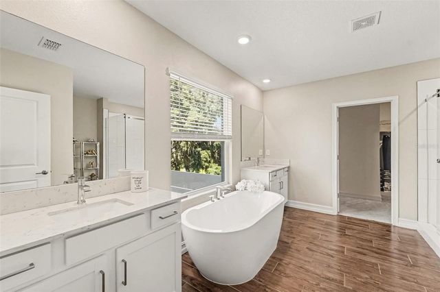 21590 VIOLET PERIWINKLE DRIVE, Land O Lakes, FL 34637
