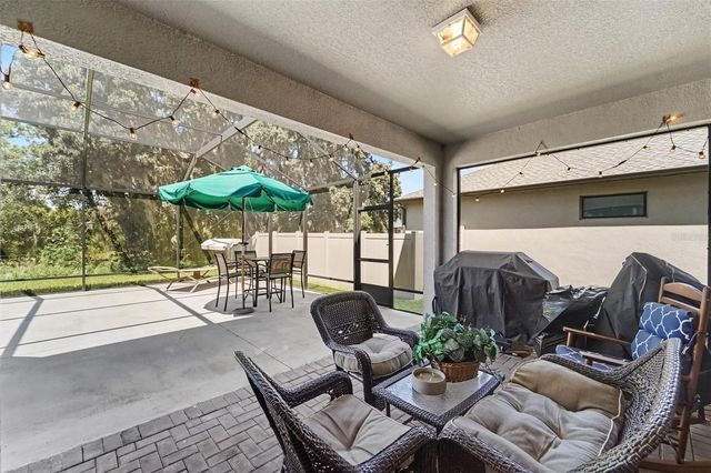 21590 VIOLET PERIWINKLE DRIVE, Land O Lakes, FL 34637