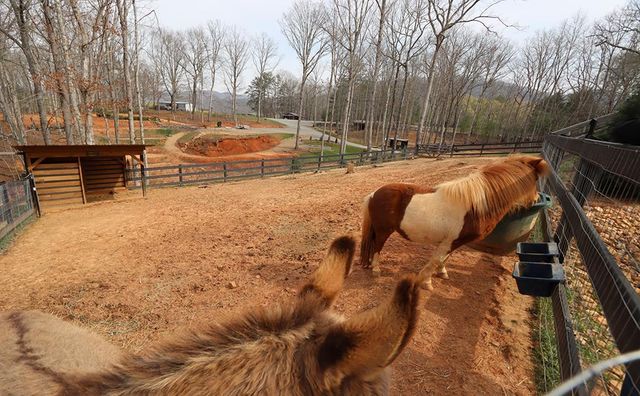 554 SE Tipton Springs Road, Morganton, GA 30560