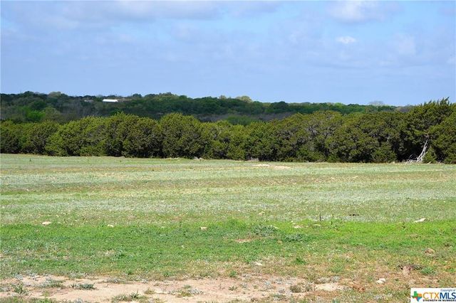 1290 County Road 4765, Kempner, TX 76539