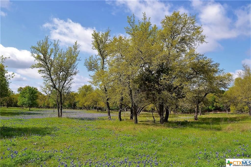 1290 County Road 4765, Kempner, TX 76539
