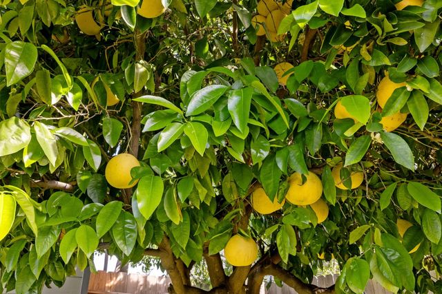 1928 Rosecrans Way, Stockton, CA 95207