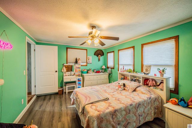 4997 St Rt 121, Bardwell, KY 42023