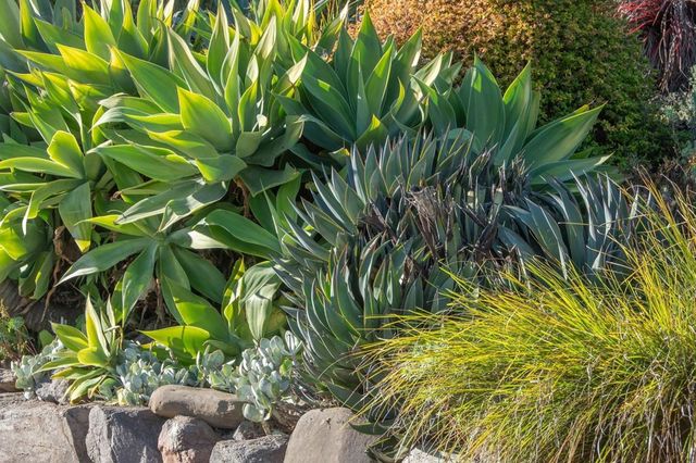 1923 Yolo Ave, Berkeley, CA 94707