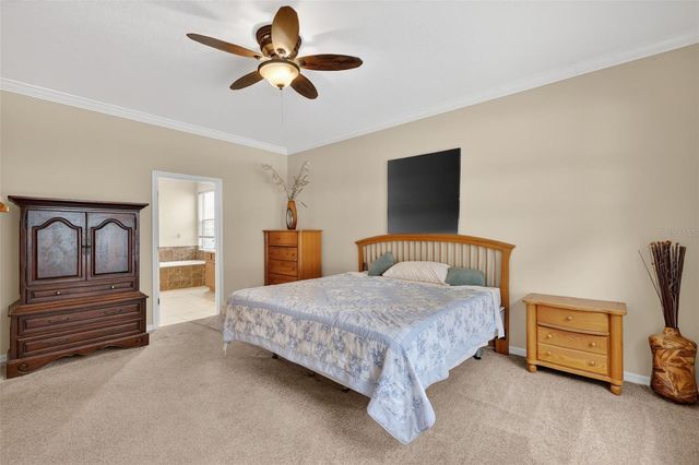 2598 PLUMADORE DRIVE, Grand Island, FL 32735