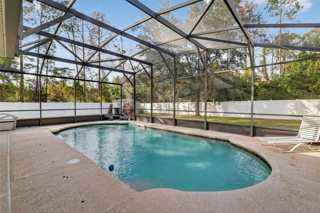 2598 PLUMADORE DRIVE, Grand Island, FL 32735