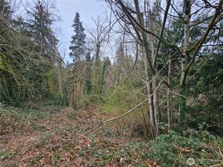 194 XX Forest Park Drive NE, Lake Forest Park, WA 98155