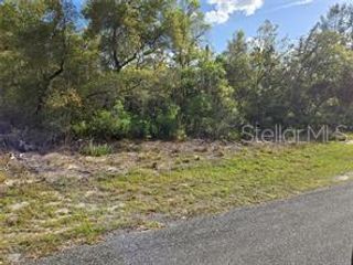 CR 245C, Oxford, FL 34484