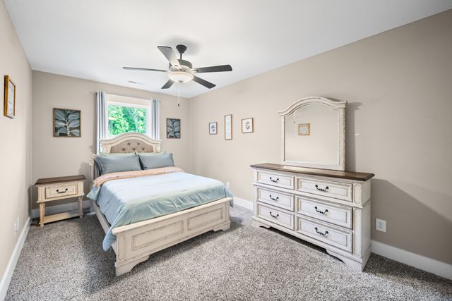 317 Alonzo Pl, Cunningham, TN 37052