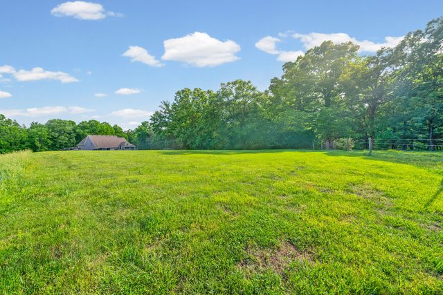 317 Alonzo Pl, Cunningham, TN 37052