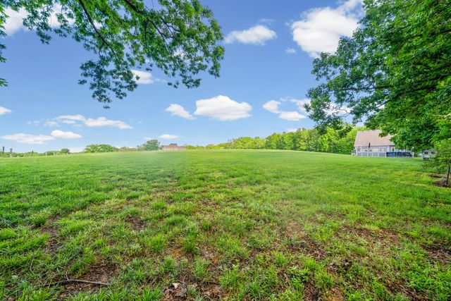 317 Alonzo Pl, Cunningham, TN 37052