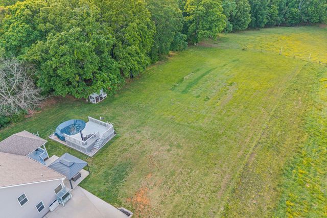 317 Alonzo Pl, Cunningham, TN 37052