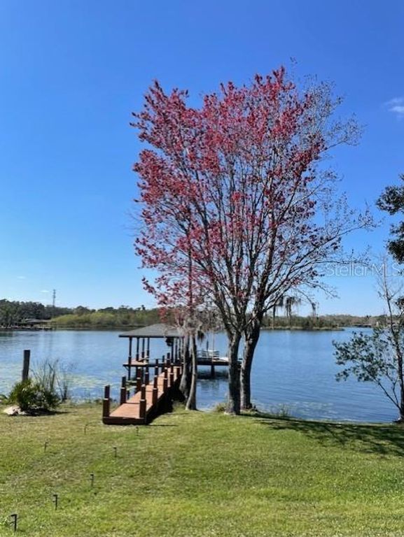 Image 21 of property listing at 13048 LAKE ROPER CT., Windermere, FL 34786