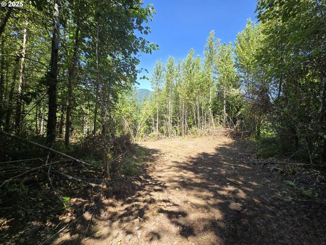 0 HIGHLAND VALLEY Rd, Morton, WA 98356