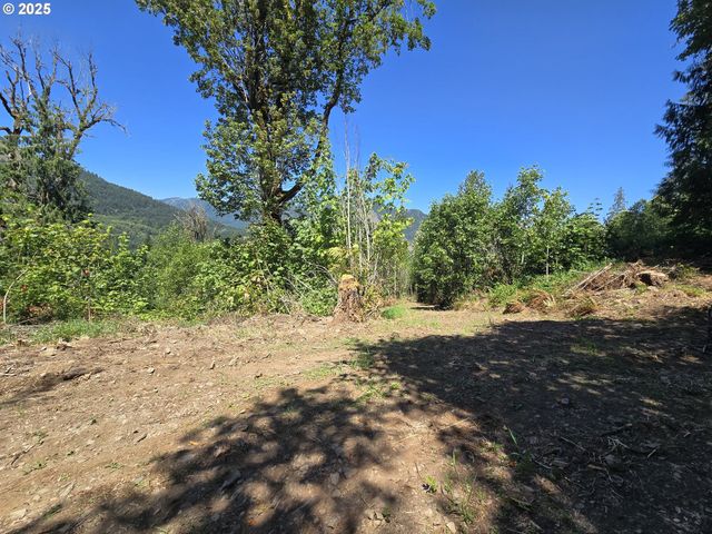 0 HIGHLAND VALLEY Rd, Morton, WA 98356