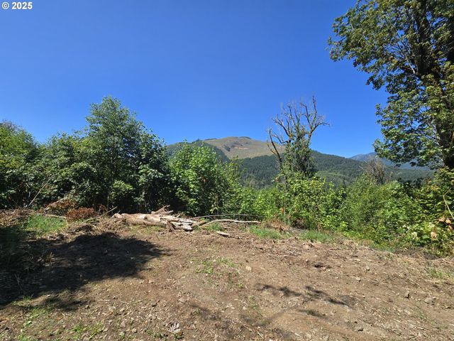 0 HIGHLAND VALLEY Rd, Morton, WA 98356