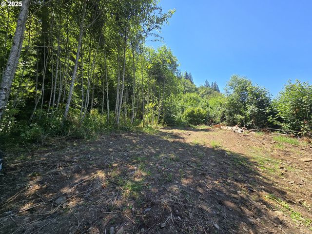 0 HIGHLAND VALLEY Rd, Morton, WA 98356