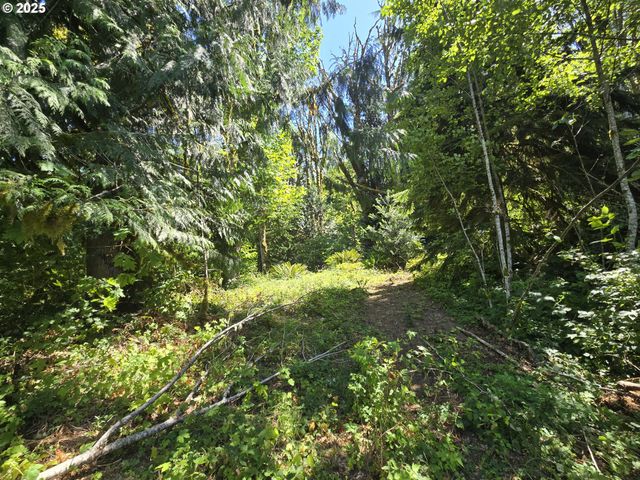 0 HIGHLAND VALLEY Rd, Morton, WA 98356