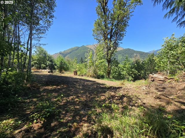 0 HIGHLAND VALLEY Rd, Morton, WA 98356