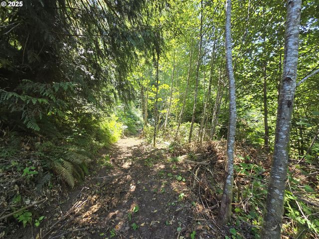 0 HIGHLAND VALLEY Rd, Morton, WA 98356