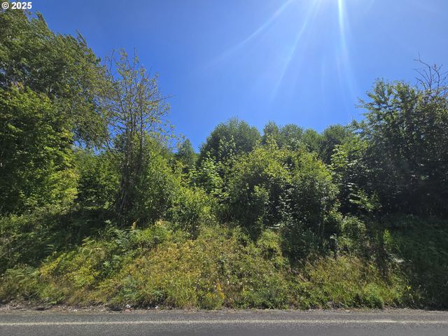 0 HIGHLAND VALLEY Rd, Morton, WA 98356