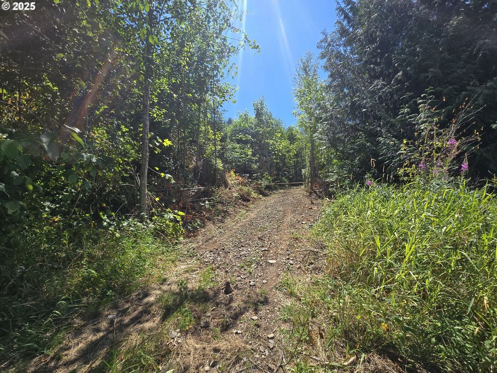 0 HIGHLAND VALLEY Rd, Morton, WA 98356