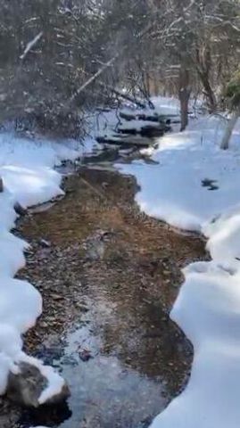 479 Split Rail Pass Lt. 2, Branson West, MO 65737