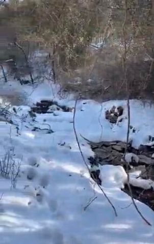 479 Split Rail Pass Lt. 2, Branson West, MO 65737