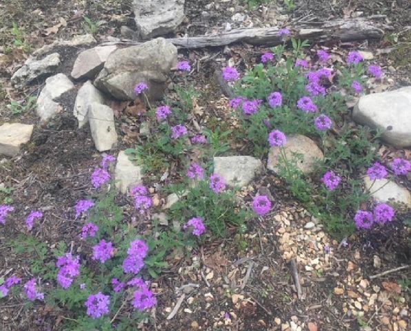 479 Split Rail Pass Lt. 2, Branson West, MO 65737