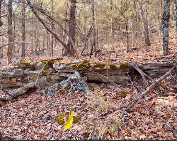 479 Split Rail Pass Lt. 2, Branson West, MO 65737